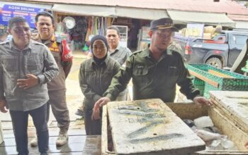 Cek Kesiapan Pasar Jelang Ramadhan, Bupati Katingan Saiful Tinjau Pasar Tumbang Samba